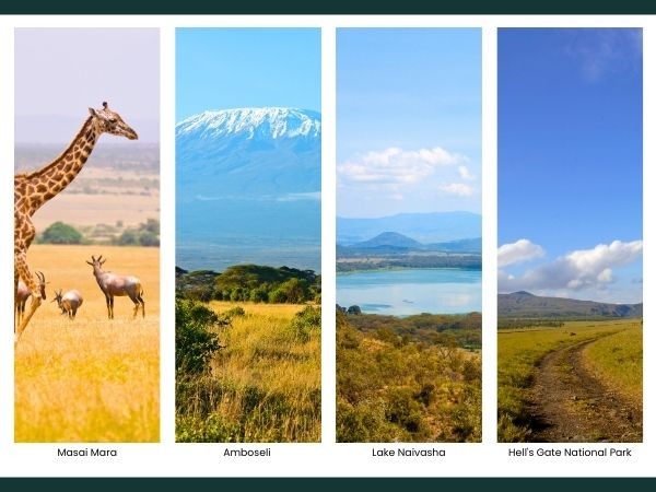 Kenya camping safari destinations collage showing Masai Mara, Amboseli with Mount Kilimanjaro, Lake Naivasha, and Hell's Gate National Park