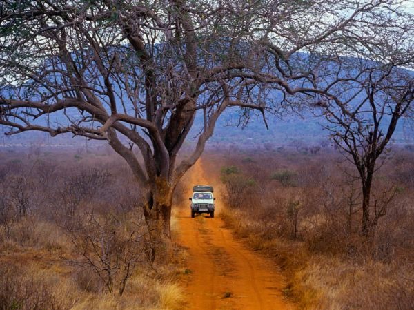 Safari vehicle driving on dusty red dirt road through African savanna landscape with acacia trees in Kenya national park