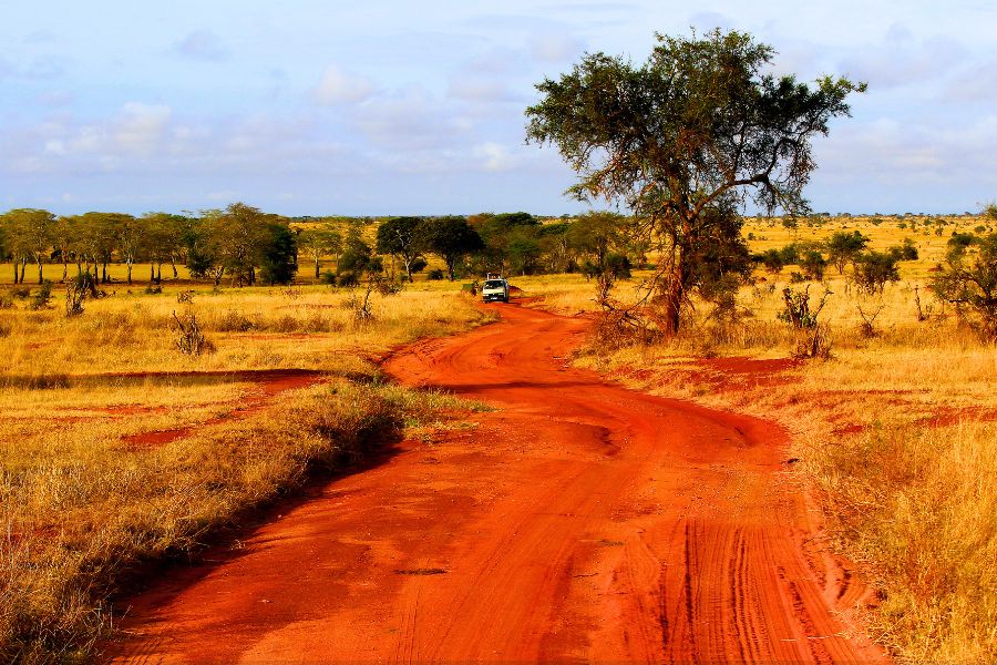 7 Seat Rental Car Guide: Best SUV in Kenya for Large Families