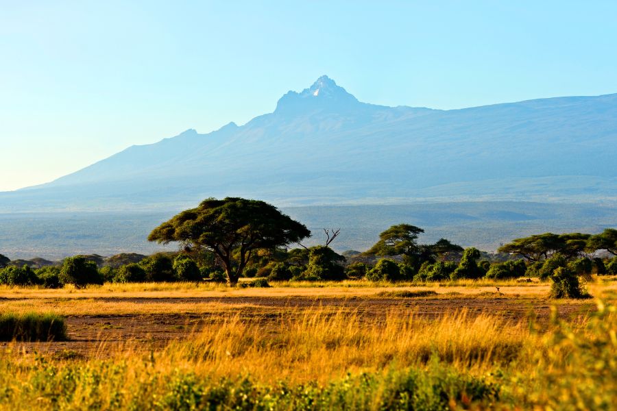 Road Trip Guide and Tips for Amboseli National Park