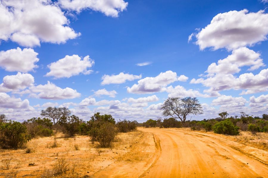 Budget Friendly Tips for Renting a Car in Kenya