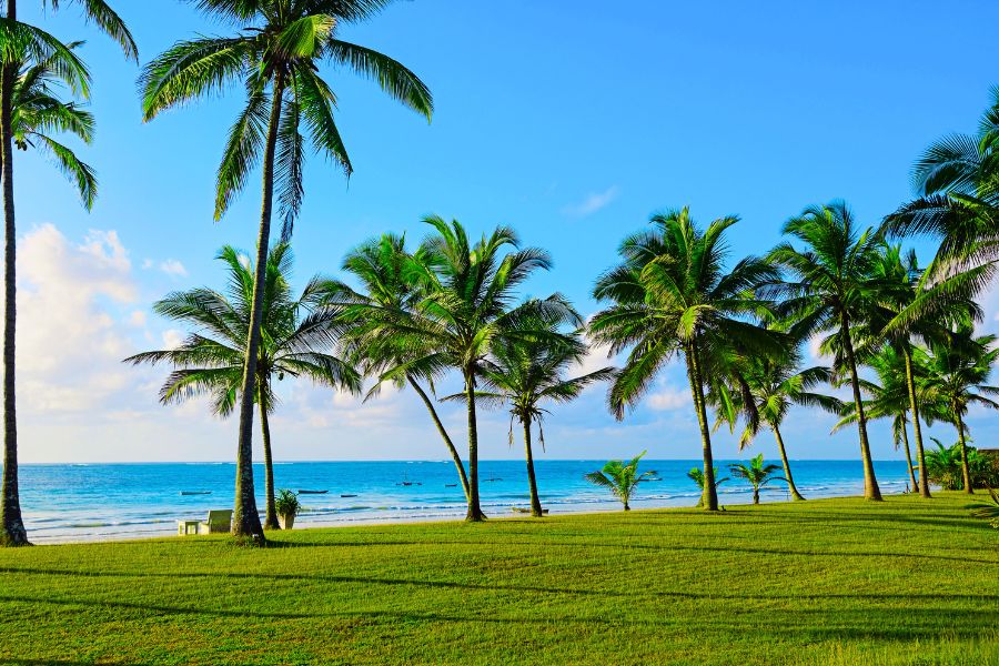 Car Rental Moi International Airport: Your Mombasa Gateway