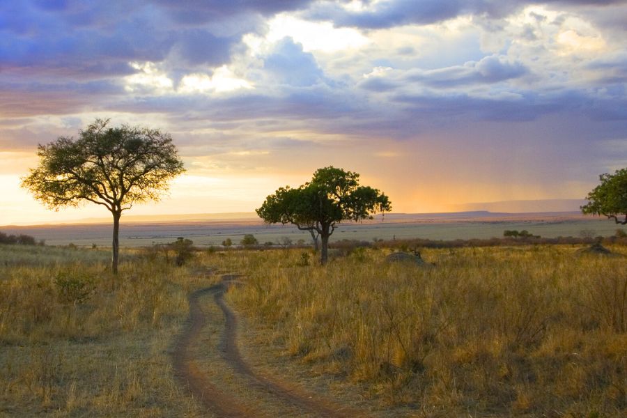 Complete Guide to Kenya Camping Safari Vehicles: Rooftop Tent 4x4 Rentals