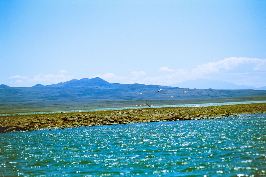 Explore Kenya’s Most Fascinating Historical Sites and Learn How You Can Reach Them