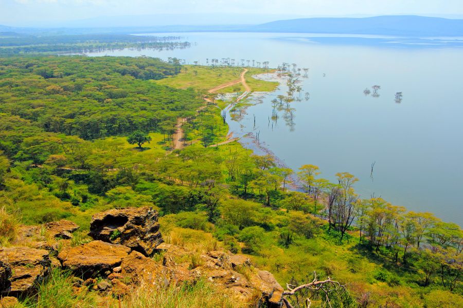 Explore Lake Nakuru and Chase Flamingos Across Stunning Landscapes