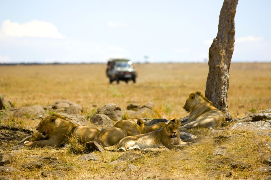 Route Guide from Nairobi to Masai Mara