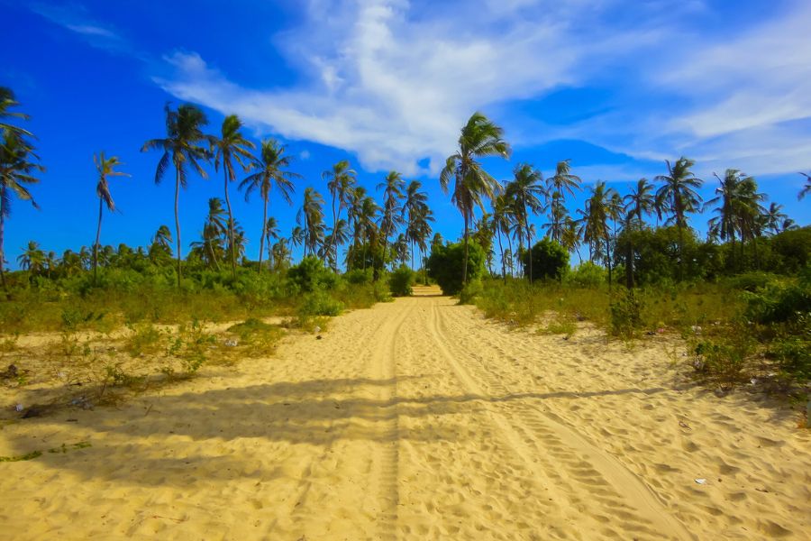 Your Complete Guide to Exploring Kenya’s Coastal Towns and Lamu Island