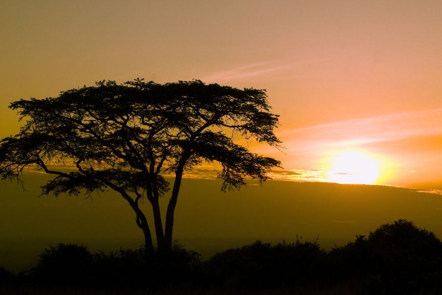 10 Breathtaking Places You’ll Love Exploring in Kenya by Car