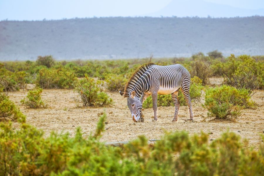 The Best Road Trip Routes to See Kenya’s Top Sights