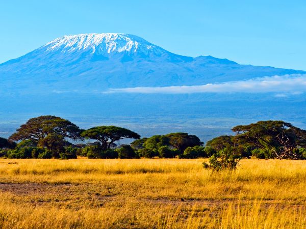 Road Trip Guide and Tips for Amboseli National Park