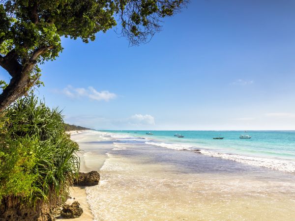 Complete Travel Guide from Mombasa to Diani Beach