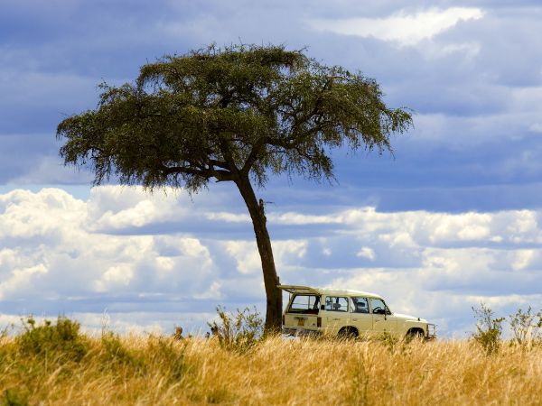 Route Guide from Nairobi to Masai Mara