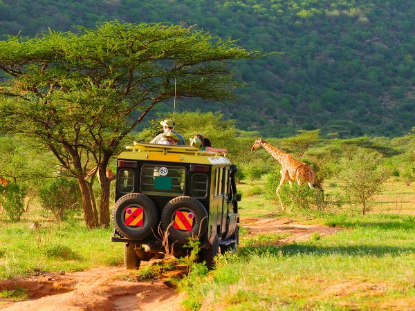 The Best Road Trip Routes to See Kenya’s Top Sights