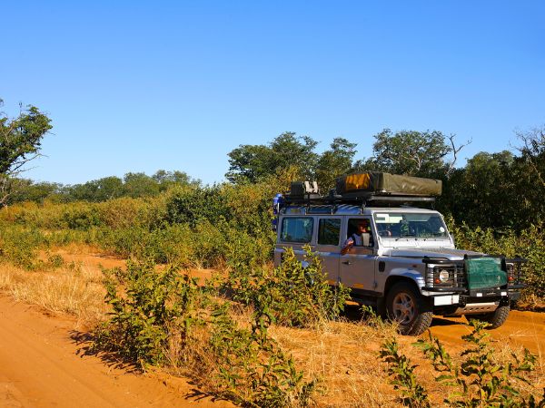 Ultimate 4x4 Safari Vehicle Rental Guide for Kenya Wildlife Parks