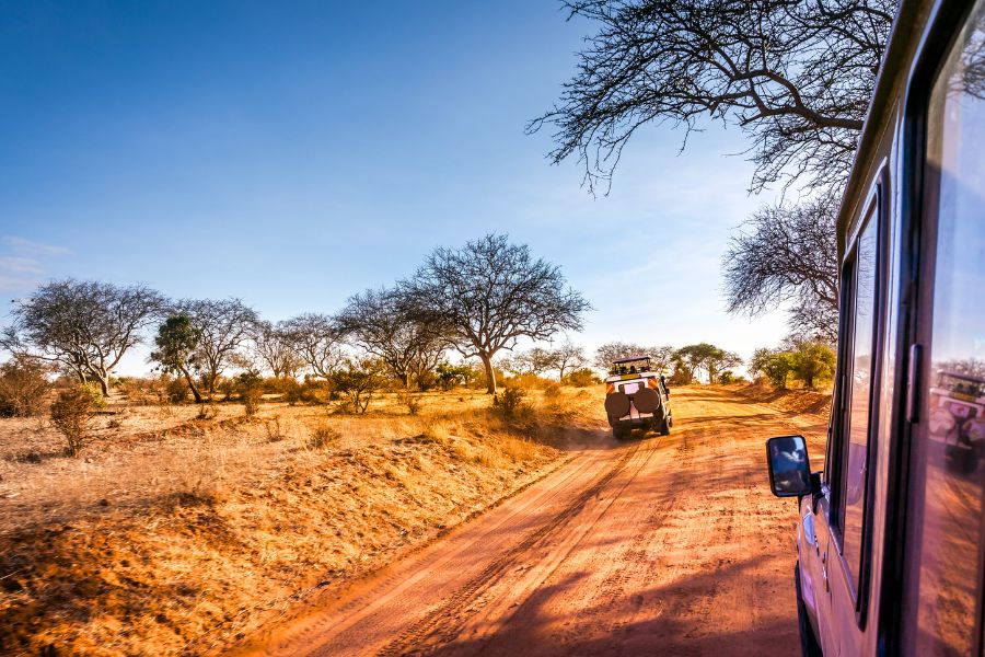 Ultimate 4x4 Safari Vehicle Rental Guide for Kenya Wildlife Parks