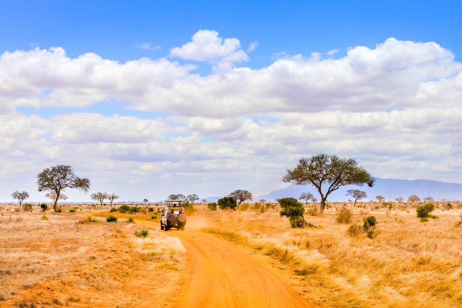What Every International Tourist Needs to Know Before Driving in Kenya