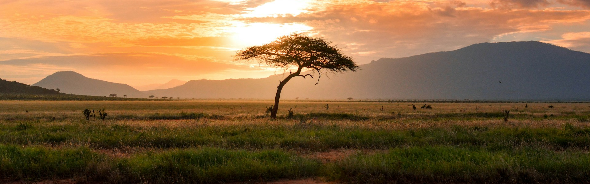 Kenya