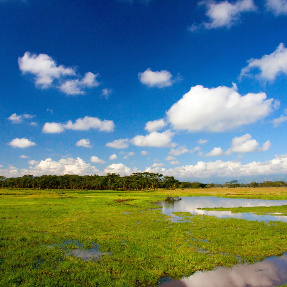 Lake Nakuru National Park
