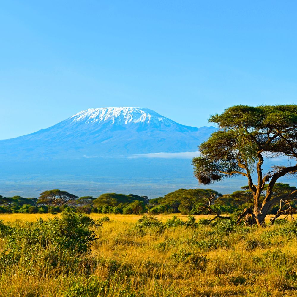 Amboseli National Park